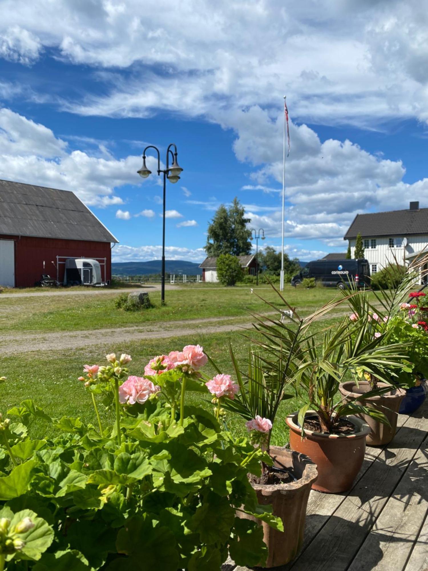 Sundby Fjordhestgard Villa Garder Kültér fotó