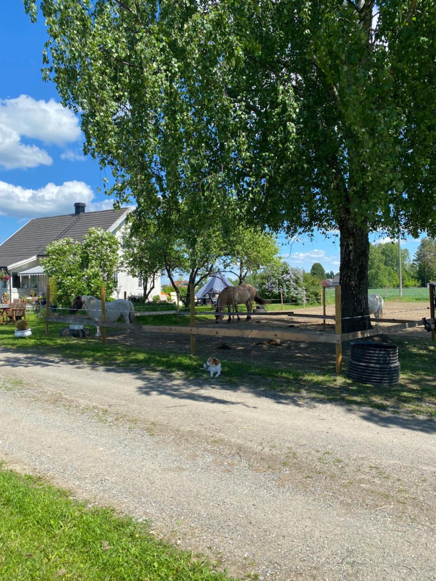 Sundby Fjordhestgard Villa Garder Kültér fotó
