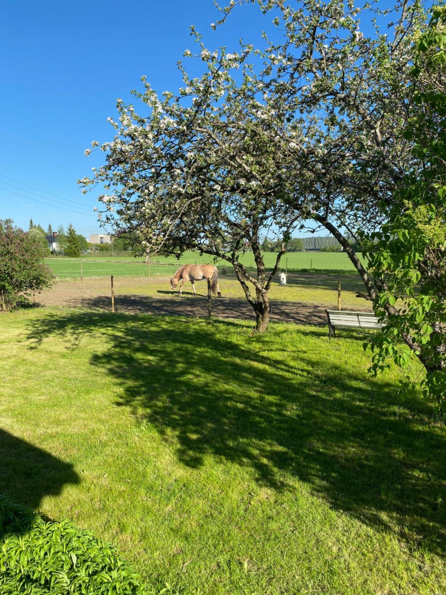 Sundby Fjordhestgard Villa Garder Kültér fotó